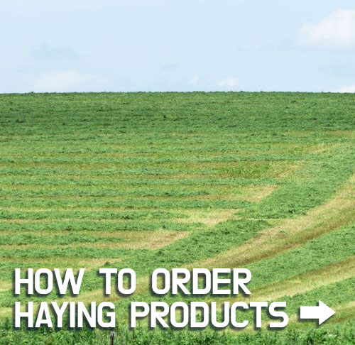 How to Order Haying Products