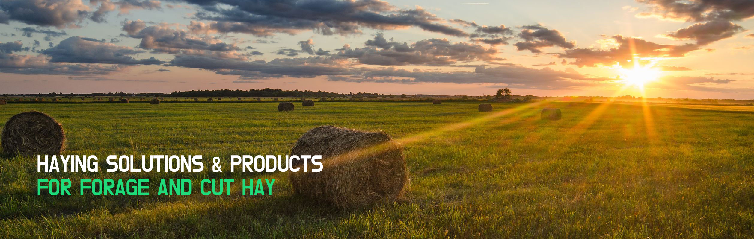 Haying Solutions & Products for Forage and Cut Hay